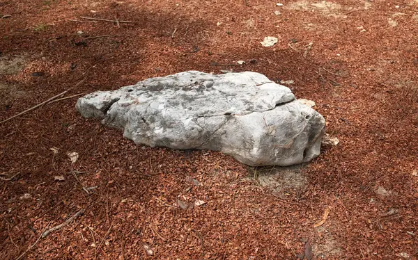 Dekoratif büyük beyaz kayalıkları kapatın, bahçedeki taşları farklı kahverengi yaprak bitkilerinin arasına, bahçenin arka bahçesine ya da parklardaki, kafelerdeki, restoranlardaki, şelalelerdeki süslemelere.
