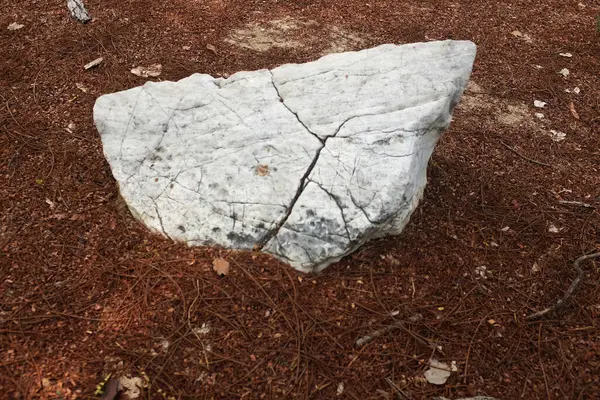 Dekoratif büyük beyaz kayalıkları kapatın, bahçedeki taşları farklı kahverengi yaprak bitkilerinin arasına, bahçenin arka bahçesine ya da parklardaki, kafelerdeki, restoranlardaki, şelalelerdeki süslemelere.