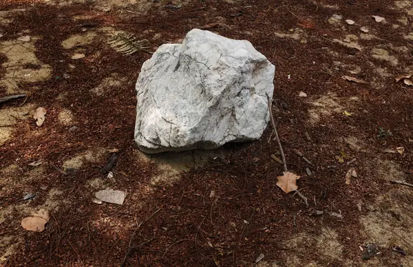 Dekoratif büyük beyaz kayalıkları kapatın, bahçedeki taşları farklı kahverengi yaprak bitkilerinin arasına, bahçenin arka bahçesine ya da parklardaki, kafelerdeki, restoranlardaki, şelalelerdeki süslemelere.