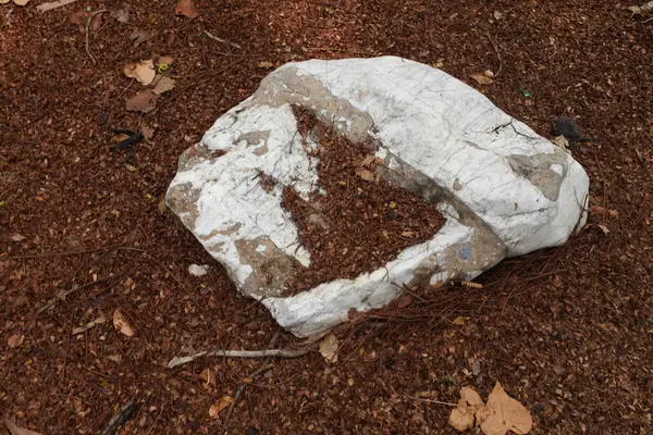 Dekoratif büyük beyaz kayalıkları kapatın, bahçedeki taşları farklı kahverengi yaprak bitkilerinin arasına, bahçenin arka bahçesine ya da parklardaki, kafelerdeki, restoranlardaki, şelalelerdeki süslemelere.