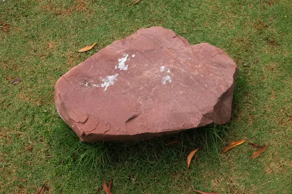 Dekoratif büyük bir kayalık, bahçedeki taş farklı yeşil bitkiler arasında, bahçenin arka bahçesi veya parklarda, kafelerde, restoranlarda, şelalelerde süsleme