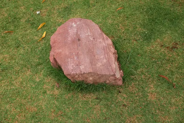 Dekoratif büyük bir kayalık, bahçedeki taş farklı yeşil bitkiler arasında, bahçenin arka bahçesi veya parklarda, kafelerde, restoranlarda, şelalelerde süsleme