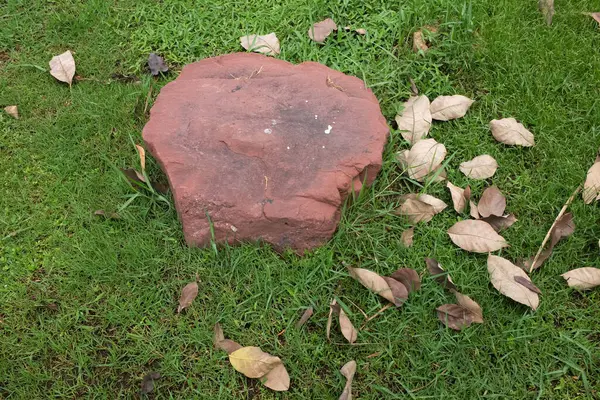 Dekoratif büyük bir kayalık, bahçedeki taş farklı yeşil bitkiler arasında, bahçenin arka bahçesi veya parklarda, kafelerde, restoranlarda, şelalelerde süsleme