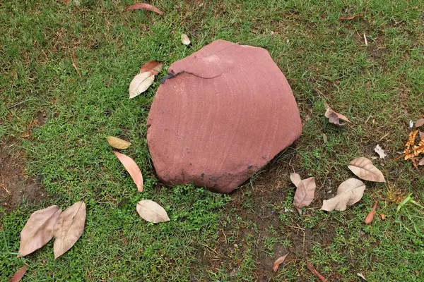 Dekoratif büyük bir kayalık, bahçedeki taş farklı yeşil bitkiler arasında, bahçenin arka bahçesi veya parklarda, kafelerde, restoranlarda, şelalelerde süsleme