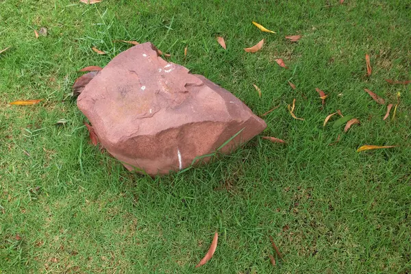 Dekoratif büyük bir kayalık, bahçedeki taş farklı yeşil bitkiler arasında, bahçenin arka bahçesi veya parklarda, kafelerde, restoranlarda, şelalelerde süsleme