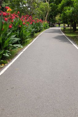 Pitty 'nin yatay görüntüsü asfalt yol, patika ya da yürüyüş yolu. Tayland' daki halk parkında güzel doğal ağaçlarla koşmak ve yürümek için. Konsept rahatlama içeriyor.,