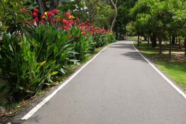 Pitty 'nin yatay görüntüsü asfalt yol, patika ya da yürüyüş yolu. Tayland' daki halk parkında güzel doğal ağaçlarla koşmak ve yürümek için. Konsept rahatlama içeriyor.,