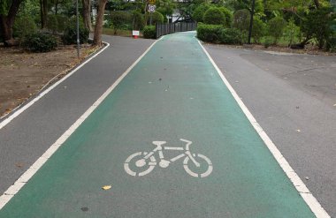 Şehir parkındaki lastik yeşil bisiklet yolunun görüntüsünü kapat. Parktaki yeşil boş bisiklet yolu ve her iki taraftaki bahar çiçekleri ve ağaçlar. Beyaz çizgili yeşil bisiklet yolu