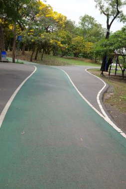 Şehir parkındaki lastik yeşil bisiklet yolunun görüntüsünü kapat. Parktaki yeşil boş bisiklet yolu ve her iki taraftaki bahar çiçekleri ve ağaçlar. Beyaz çizgili yeşil bisiklet yolu