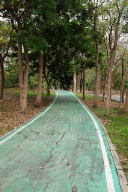 Şehir parkındaki lastik yeşil bisiklet yolunun görüntüsünü kapat. Parktaki yeşil boş bisiklet yolu ve her iki taraftaki bahar çiçekleri ve ağaçlar. Beyaz çizgili yeşil bisiklet yolu