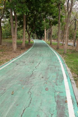Şehir parkındaki lastik yeşil bisiklet yolunun görüntüsünü kapat. Parktaki yeşil boş bisiklet yolu ve her iki taraftaki bahar çiçekleri ve ağaçlar. Beyaz çizgili yeşil bisiklet yolu