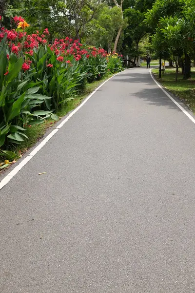 Pitty 'nin yatay görüntüsü asfalt yol, patika ya da yürüyüş yolu. Tayland' daki halk parkında güzel doğal ağaçlarla koşmak ve yürümek için. Konsept rahatlama içeriyor.,