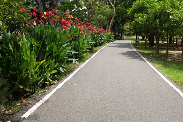 Pitty 'nin yatay görüntüsü asfalt yol, patika ya da yürüyüş yolu. Tayland' daki halk parkında güzel doğal ağaçlarla koşmak ve yürümek için. Konsept rahatlama içeriyor.,
