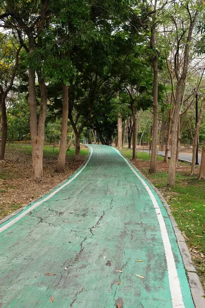 Şehir parkındaki lastik yeşil bisiklet yolunun görüntüsünü kapat. Parktaki yeşil boş bisiklet yolu ve her iki taraftaki bahar çiçekleri ve ağaçlar. Beyaz çizgili yeşil bisiklet yolu