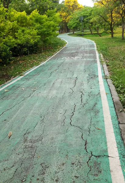 Şehir parkındaki lastik yeşil bisiklet yolunun görüntüsünü kapat. Parktaki yeşil boş bisiklet yolu ve her iki taraftaki bahar çiçekleri ve ağaçlar. Beyaz çizgili yeşil bisiklet yolu