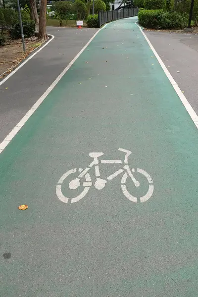 Şehir parkındaki lastik yeşil bisiklet yolunun görüntüsünü kapat. Parktaki yeşil boş bisiklet yolu ve her iki taraftaki bahar çiçekleri ve ağaçlar. Beyaz çizgili yeşil bisiklet yolu