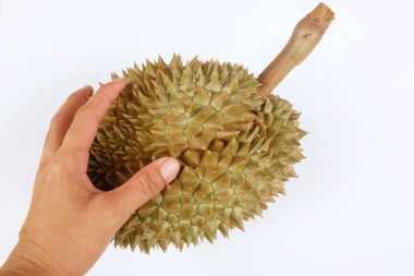 Durian (durio zibethinus l) tutan Asyalı adam beyaz bir arkaplanda izole edilir