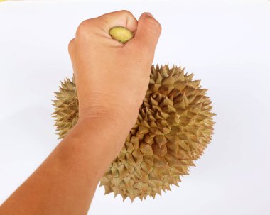 Durian (durio zibethinus l) tutan Asyalı adam beyaz bir arkaplanda izole edilir