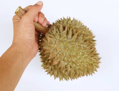 Durian (durio zibethinus l) tutan Asyalı adam beyaz bir arkaplanda izole edilir