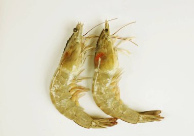 Taze çiğ karides, karides, pasifik beyazı karides (litopenaeus vannamei )