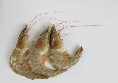 Taze çiğ karides, karides, pasifik beyazı karides (litopenaeus vannamei )