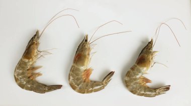 Taze çiğ karides, karides, pasifik beyazı karides (litopenaeus vannamei )