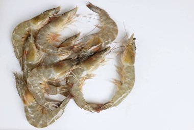 Taze çiğ karides, karides, pasifik beyazı karides (litopenaeus vannamei )