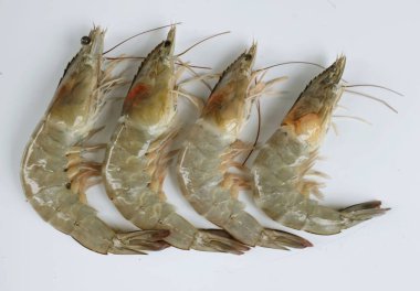 Taze çiğ karides, karides, pasifik beyazı karides (litopenaeus vannamei )