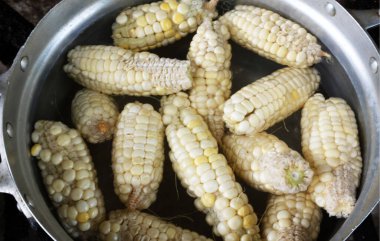 Olgun beyaz organik mısır çeşitleri (zea mays amylocea). Gaz sobasında suyla birlikte tencerede.