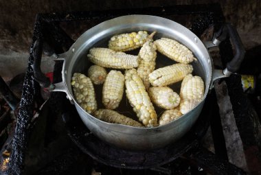Olgun beyaz organik mısır çeşitleri (zea mays amylocea). Gaz sobasında suyla birlikte tencerede.