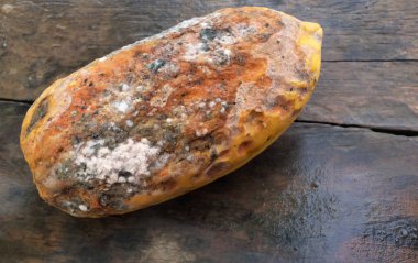 Çürümüş papaya istenmeyen bir kalıba sahiptir. Mantarların neden olduğu ahşap zeminde Papaya meyve çürümesi hastalığına 
