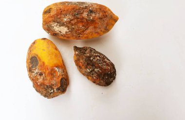 Çürümüş papaya, mantarların neden olduğu Papaya meyve çürümesi hastalığının beyaz zemininde istenmeyen bir kalıba sahiptir. Buna 