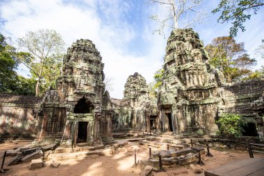 Siem Reap, Kamboçya ormanlarındaki antik tapınak kalıntıları