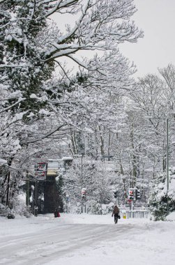 İngiltere 'deki kar fırtınasından sonra Surrey karla kaplandı