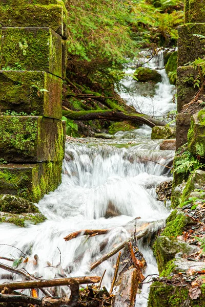 Waterfall Amount Green Plants Cotswolds — Stock Photo, Image