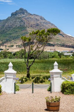Güney Afrika 'da Masa Dağı ve Cape Town manzaraları mavi gökyüzüne karşı