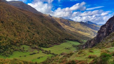 Sonbaharda Valle de Lago köyü yakınlarındaki orman, Somiedo Doğal Parkı ve Biyosfer Rezervi, Asturias, İspanya