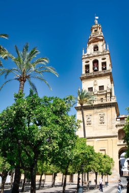 Kule ve Los Naranjos terası, Mezquita Katedrali Arap Duvarı. Cordoba Şehri Endülüs, İspanya, Avrupa