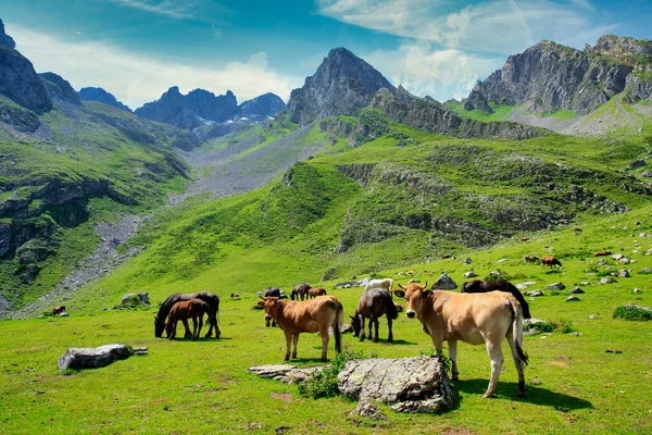 El Meic n, Ubinas La Mesa Doğal Parkı, Lena, Asturias, İspanya