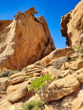 Natural stone arch eroded by wind known as Arco de las Penitas, Fuerteventura, Canary Islands, Spain