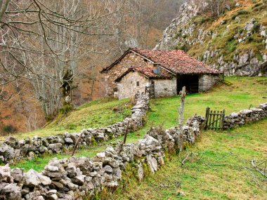 Typical hut near Orle village, Caso municipality, Redes Natural Park, Asturias, Spain