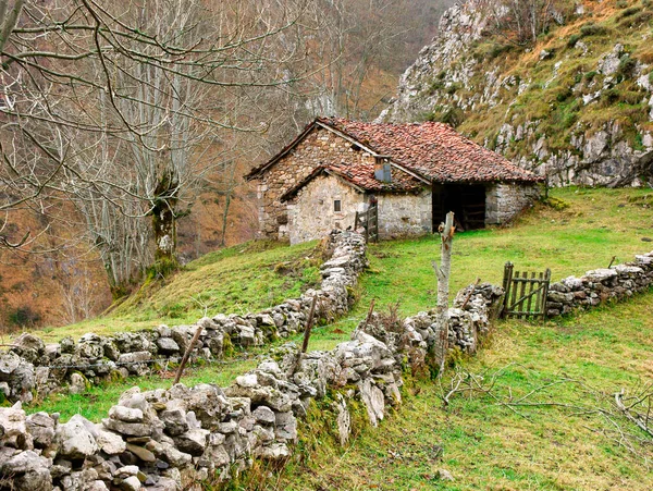 Typical hut near Orle village, Caso municipality, Redes Natural Park, Asturias, Spain