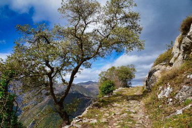 Pando Köyü, Somiedo Doğal Parkı, Asturias, İspanya