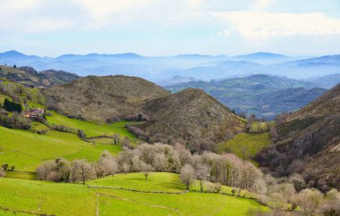 Panicera köyü çevresindeki manzara, Grado sıradanlığı, Asturias, İspanya, Avrupa