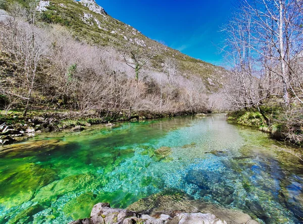 Río Dobra Cangas Onis Asturias España —  Fotos de Stock
