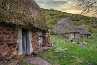 Brana La Corra çoban sürüsü, Camin Real de la Mesa, Somiedo Doğal Park ve Biyosfer Rezervi, Arbellales, Asturias, İspanya, Avrupa