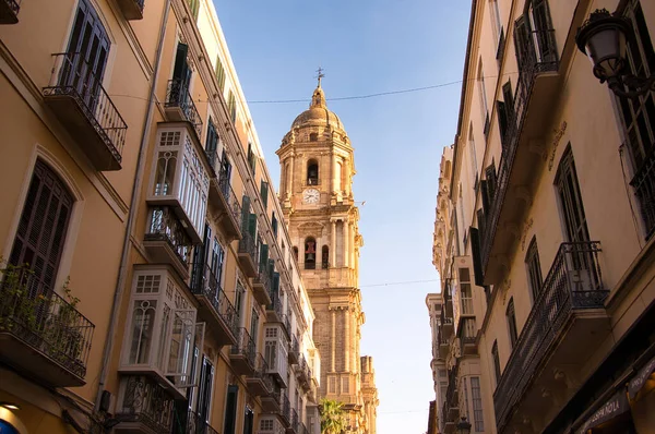 stock image Malaga cathedral, Malaga city, Andalusia, Spain, Europe