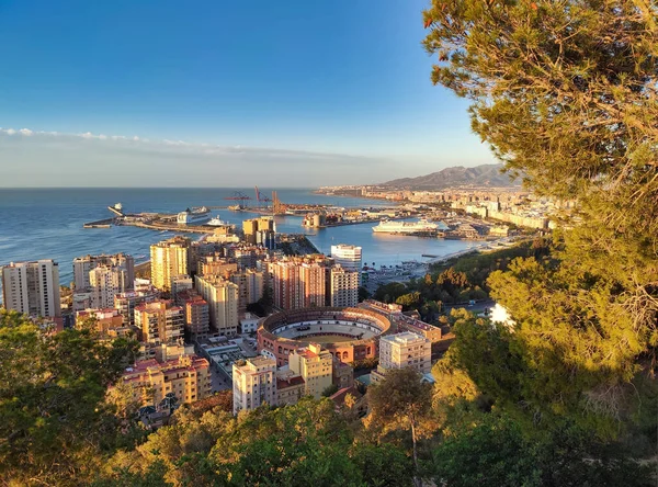 Malaga şehri Gibralfaro kalesinden görüldü, Malaga şehri, Endülüs, İspanya, Avrupa
