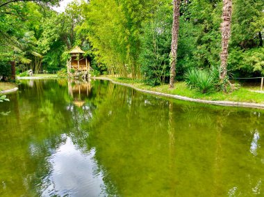 Senorio de Bertiz, Doğa Parkı, Navarre, İspanya, Avrupa