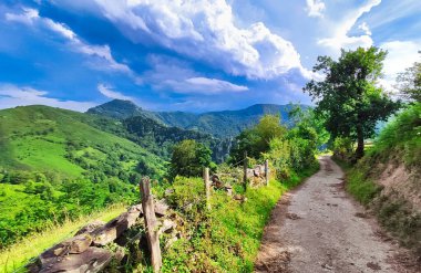 Camin Real del Sellon pisti Redes Doğa Parkı ve Biyosfer Rezervi, Sobrescobio Belediyesi, Asturias, İspanya. İspanya